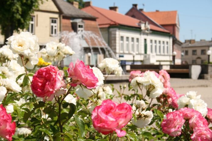 Rožių svaigulys Tukume, Jaunmoku pilis ir Pure šokoladas!