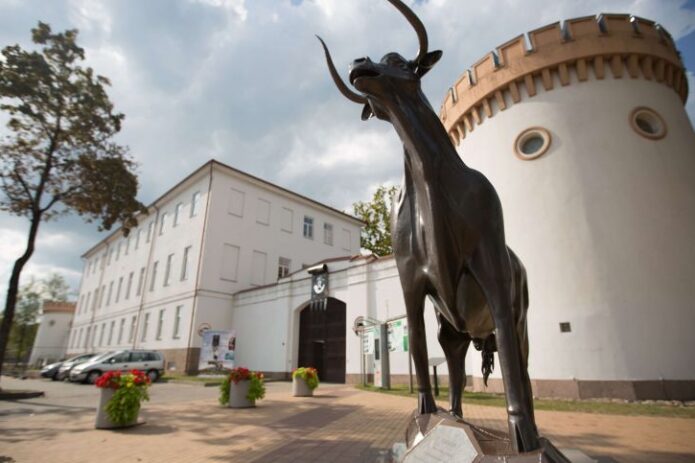 Tauragė – Lietuvos kultūros sostinė 2023 ir Lietuvininkų valgiai!
