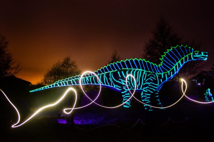Kalėdinė pasaka su delfinais ir Švytinčių dinozaurų festivalis!