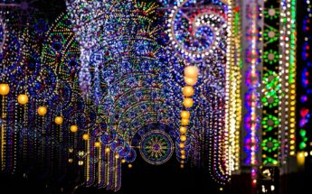 Klaipėdos šviesų festivalis ir gintaro muziejus!