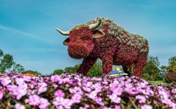 Žavusis pajūrio miestas – Ventspilis ir įspūdinga Jūros šventė!