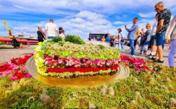 Ventspilio miesto šventė ir Tarptautinis gėlių kilimų festivalis!