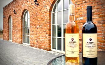 Dreverna: Kuršių marių panorama ir vyno degustacija!
